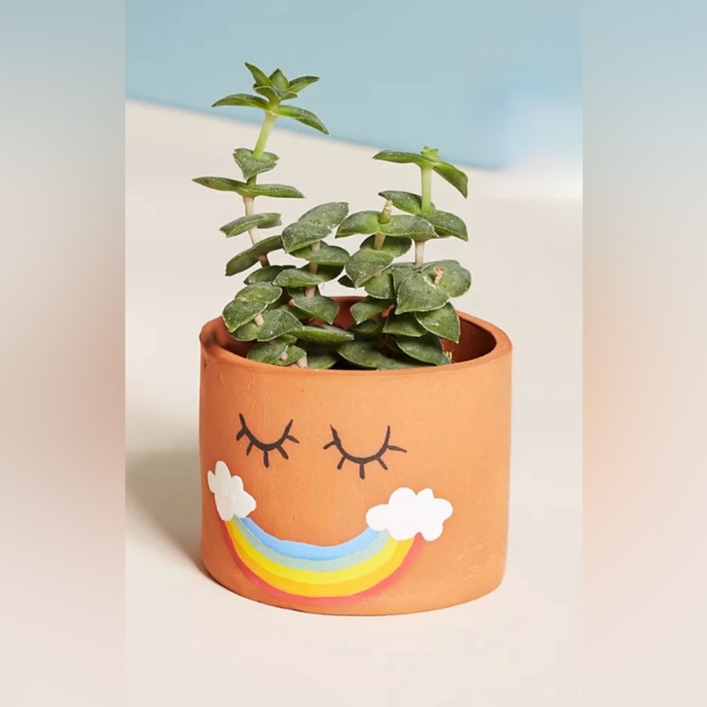 Urban outfitters rainbow mini planter